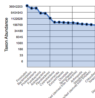 Sample rank abundance plot by phylum.
